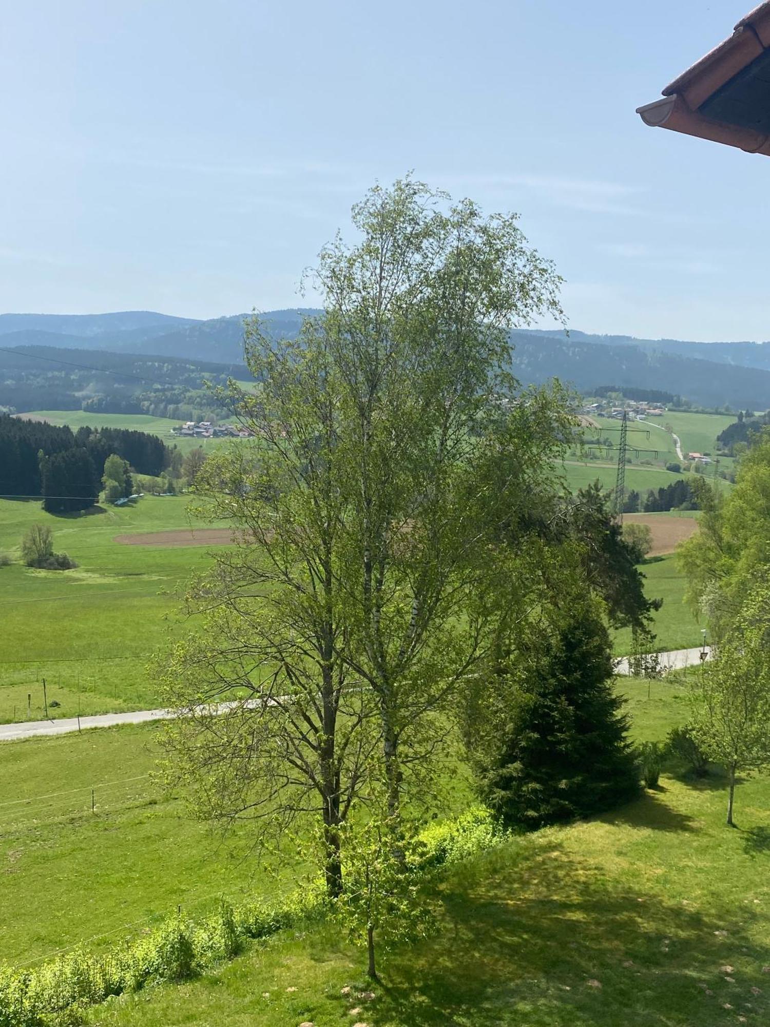 Ferienwohnung Lussen Regen Exterior foto
